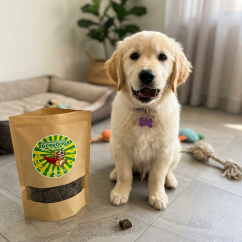 HEMP TREATS SUPERFOODS BISCUITS 350g