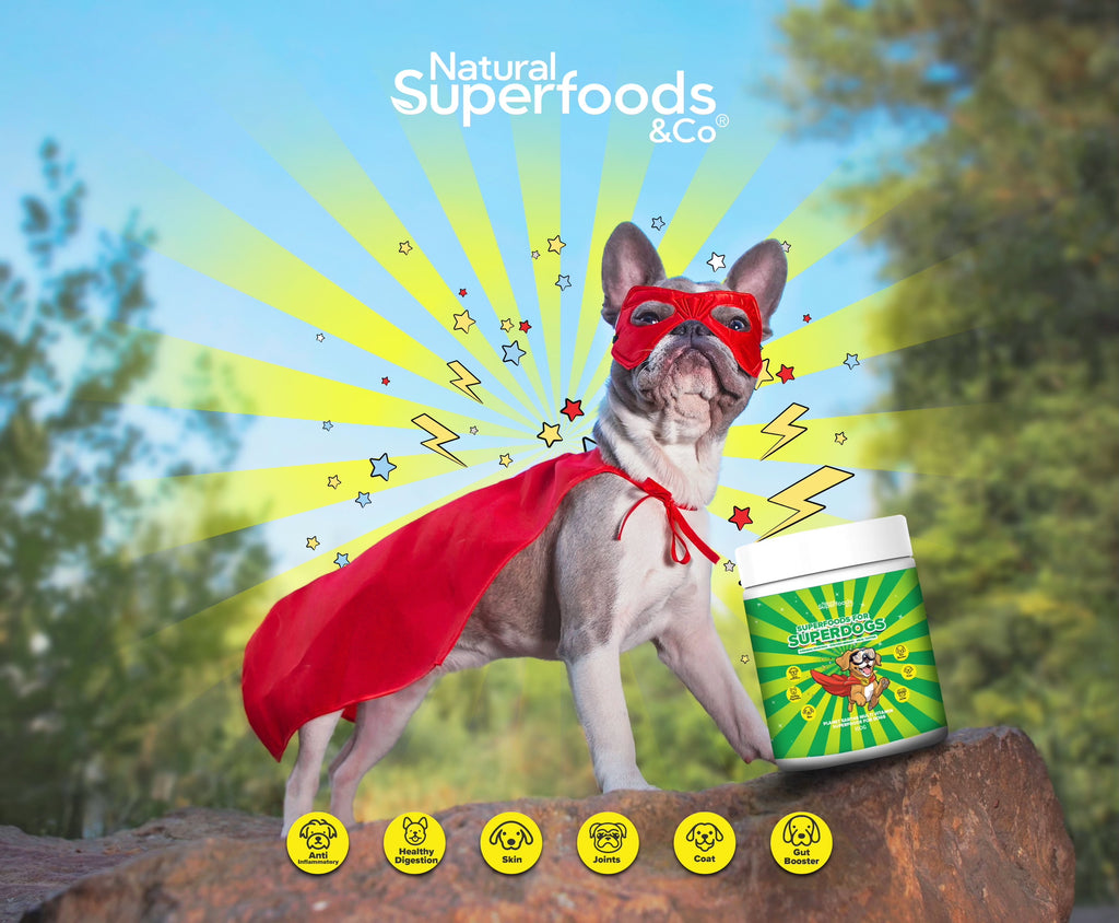 Superdog - Planet Earth Multi Vitamin