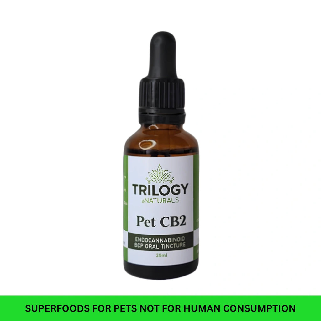 Pet CB2 30ml (pet anxiety formula)